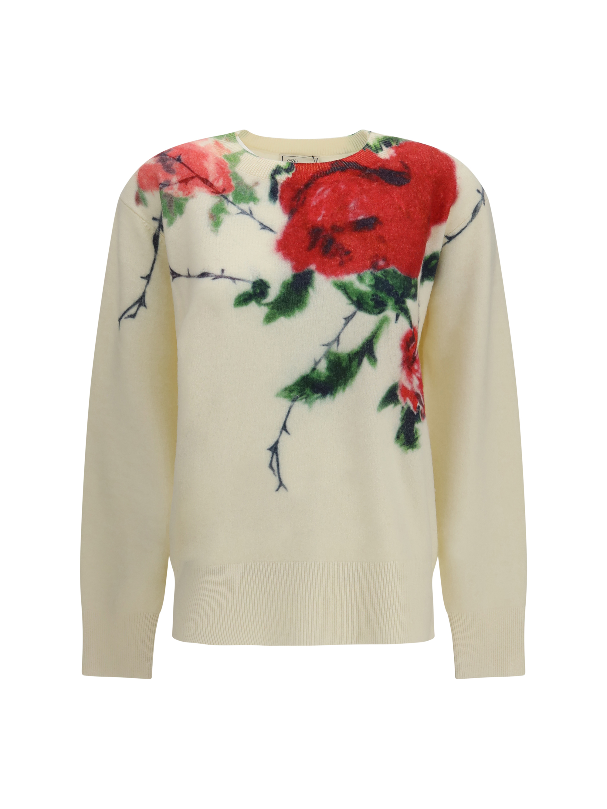 Blumarine 장미 프린트 캐시미어 혼합 스웨터
