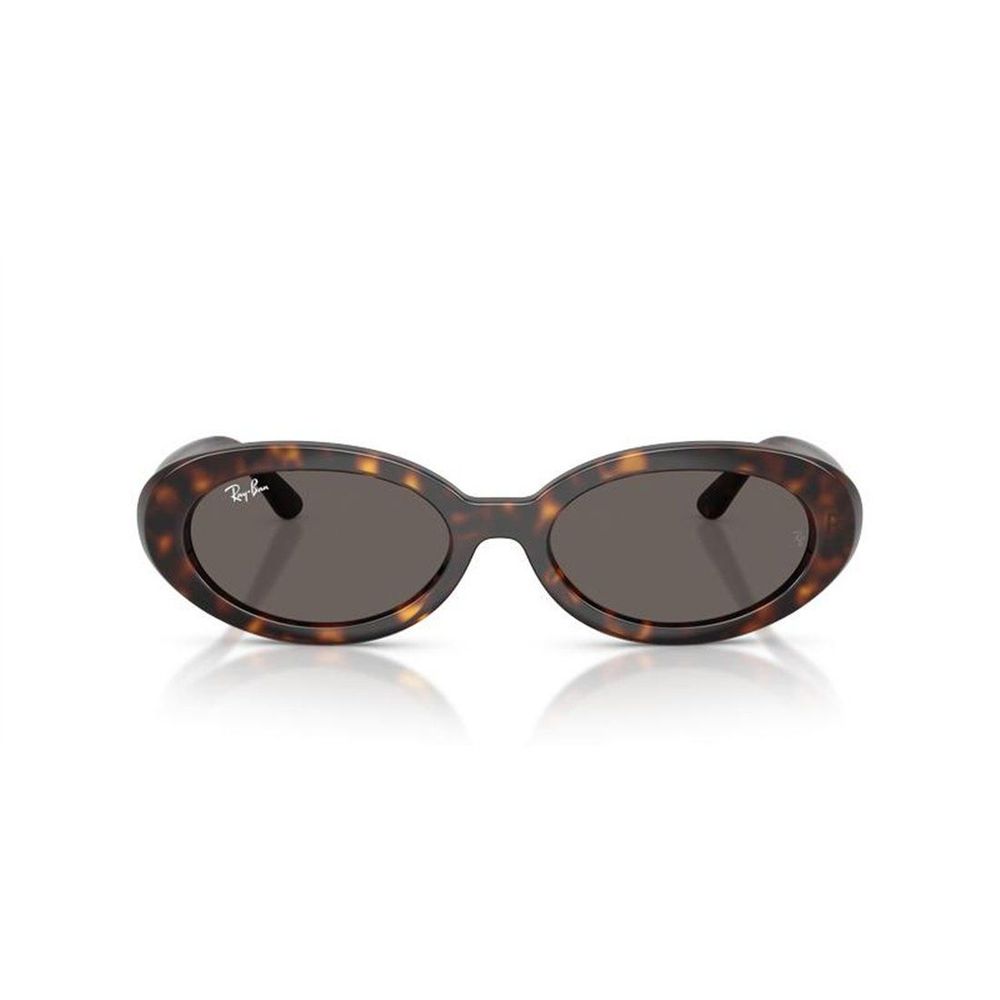 Ray Ban 오벌 프레임 선글라스