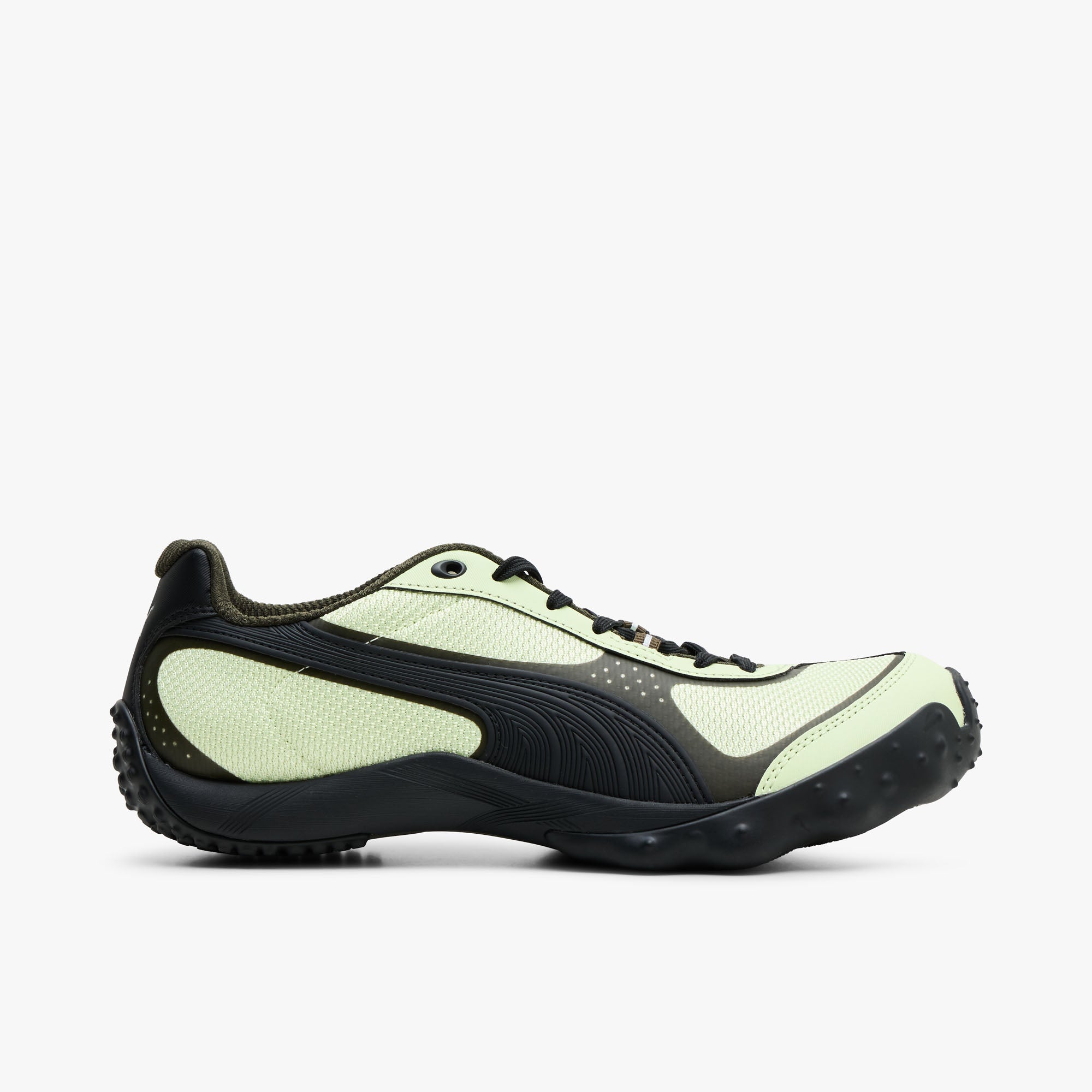 Puma 푸마 아킬리움