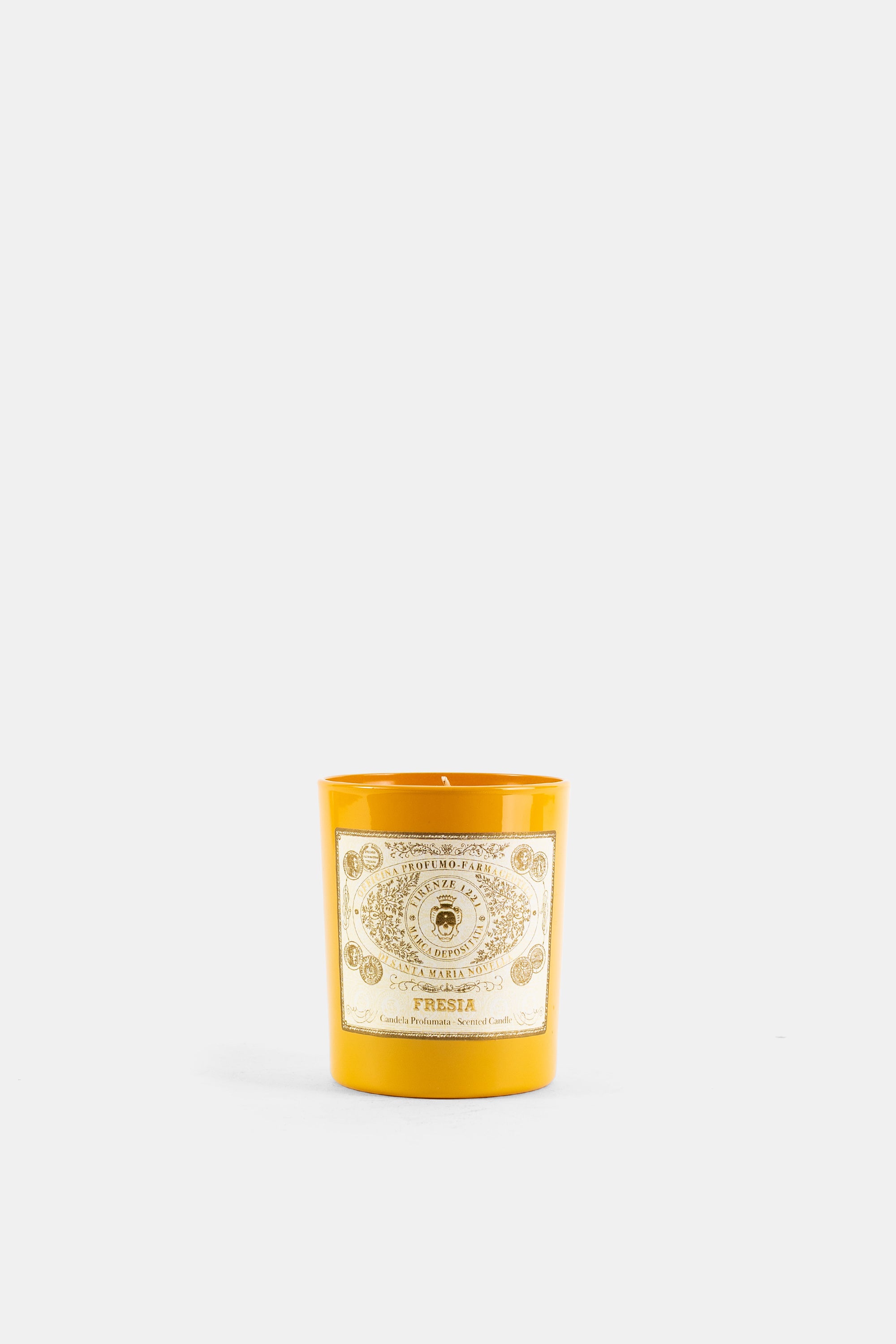 Santa Maria Novella 프레지아