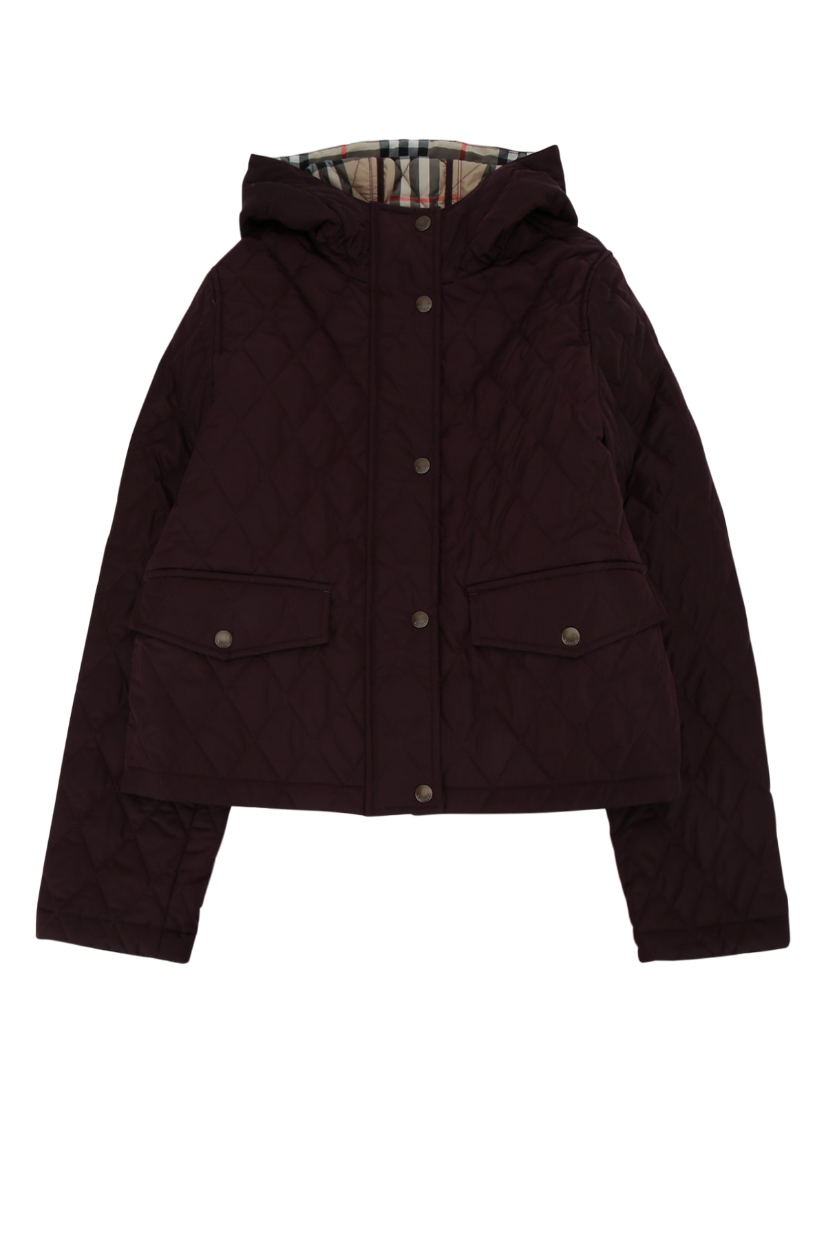 Burberry Kids KG6 펨브룩