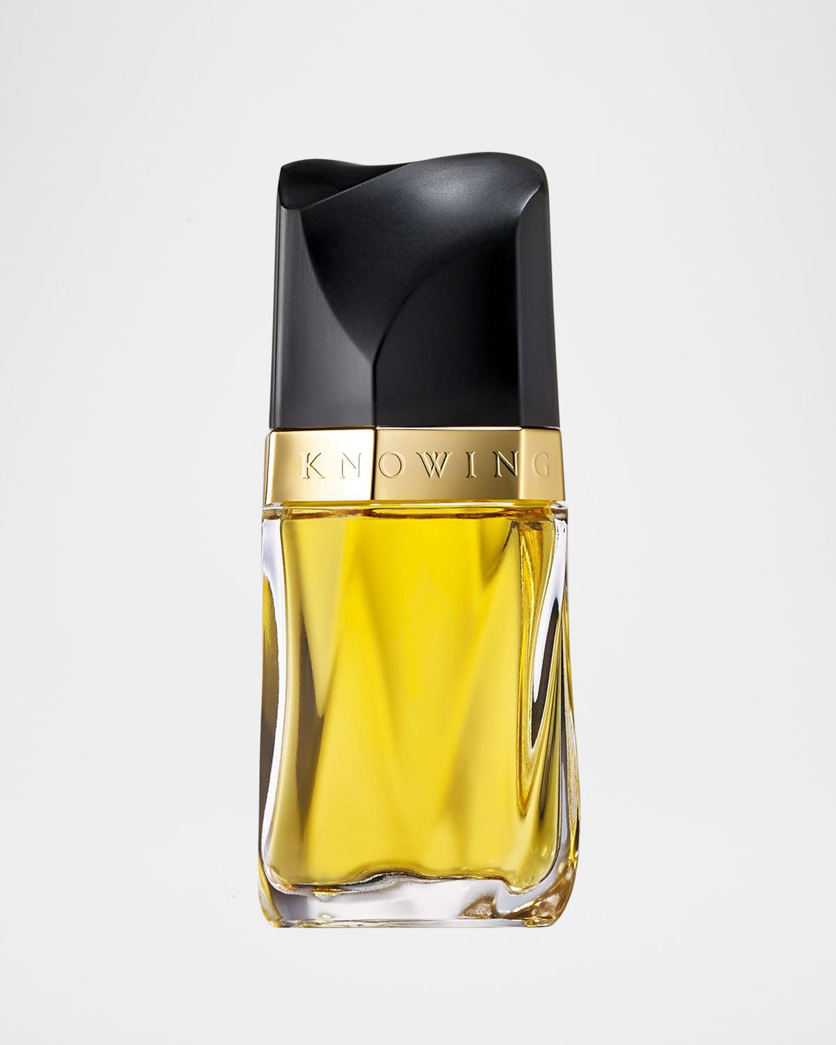 ESTÉE LAUDER 노잉 오 드 퍼퓸 스프레이 75ml