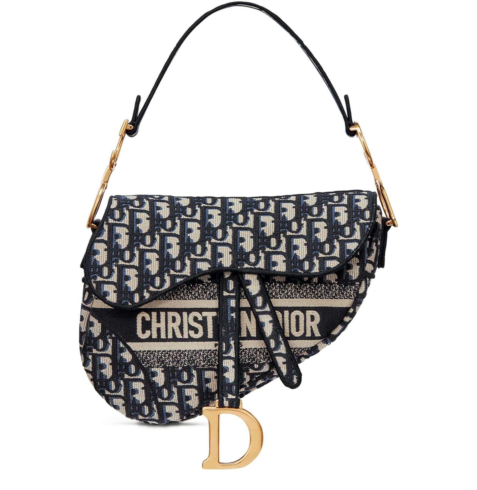 DIOR 새들 백