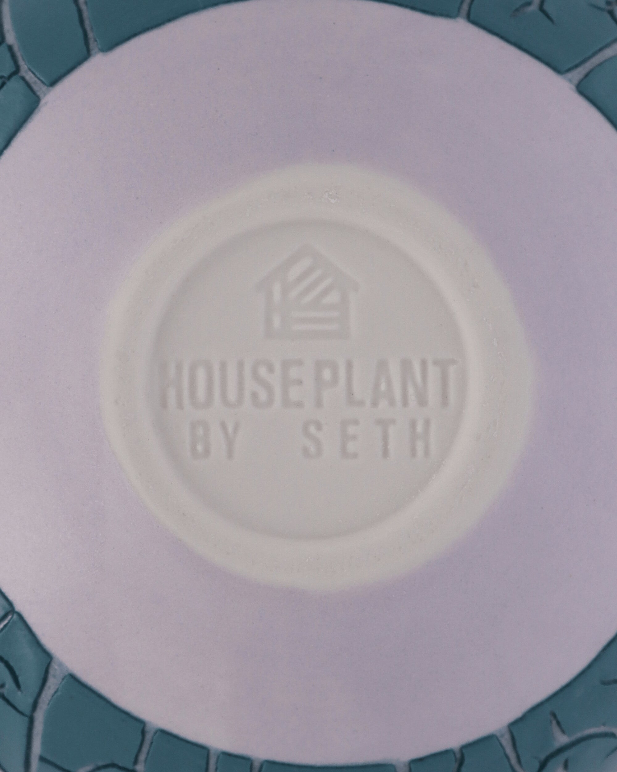 HOUSEPLANT 크랙클 화병 세스 라이트