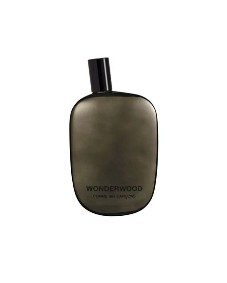 WONDEROUD 100 ml 65090991 | 꼼데가르송 | FETCHING