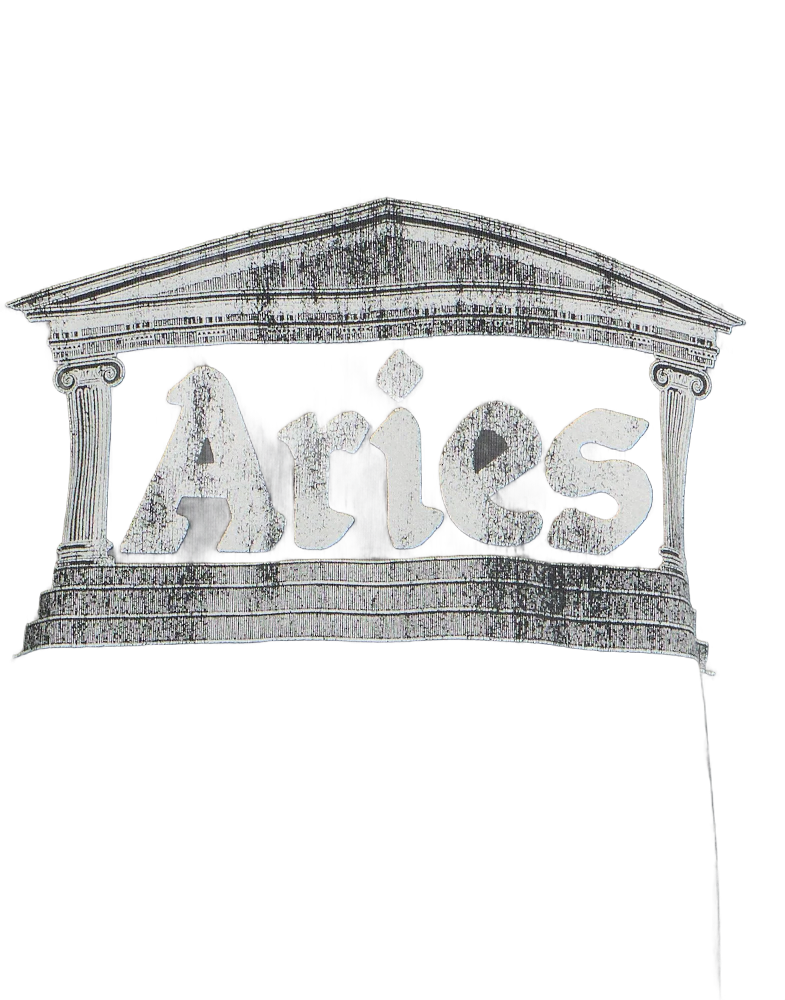 ARIES 스웻셔츠