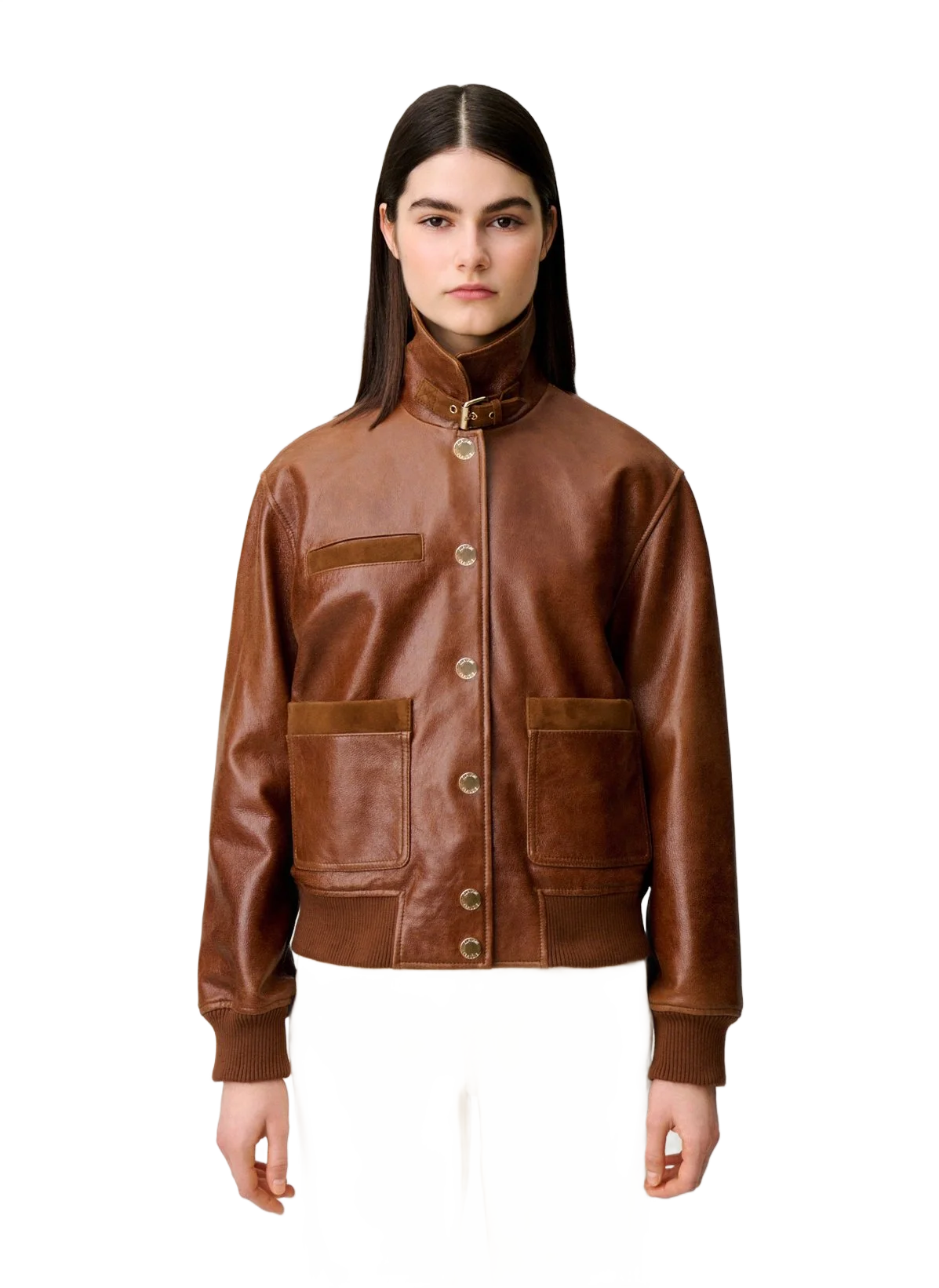 Claudie Pierlot  레더 블루종