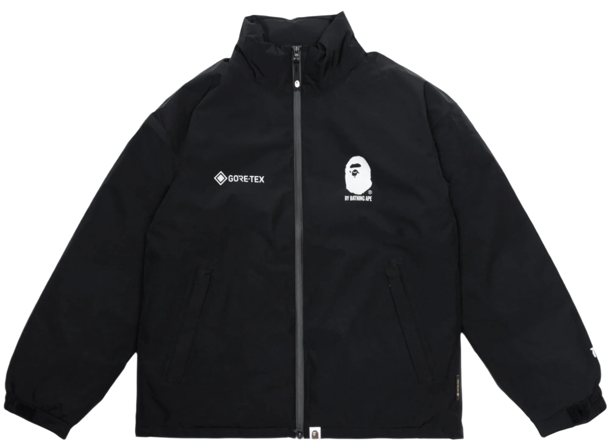 Bape 고어텍스 다운 자켓