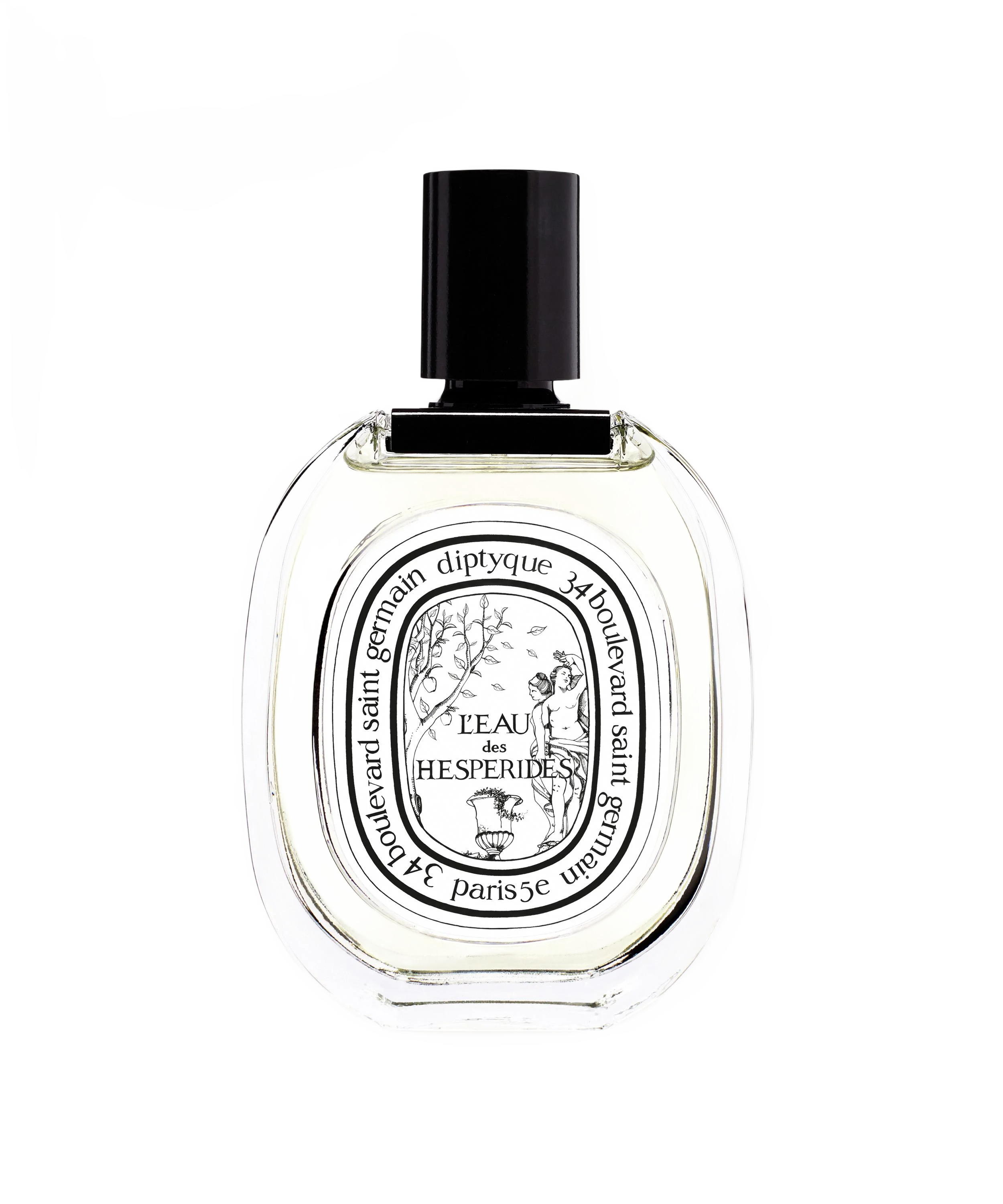 DIPTYQUE 레오 데 에스페리데스 오 드 뚜왈렛 100ml